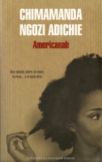 Chimamanda Ngozi Adiche - Americanah